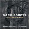 Warren Deep - Dark Forest (Native Tribe's Re-Defined Afro Remix)