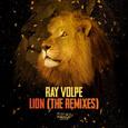 LION (THE REMIXES)