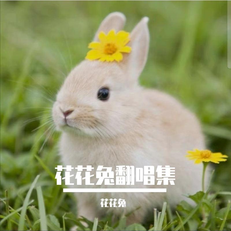 花花兔翻唱集