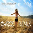 Back To Paradise (Vanze Remix)专辑