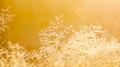 Golden专辑