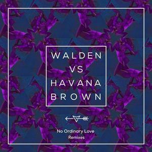 Walden vs. Havana Brown - No Ordinary Love (Funk Machine Remix)