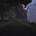 Lost In The Dark