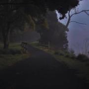 Lost In The Dark