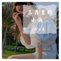 DJ - 三月里的小雨 （DJ版）-张晓杰