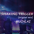 Shaking Trigger(Original Mix)