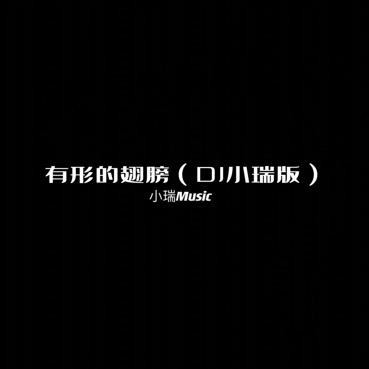 有形的翅膀（DJ小瑞版）