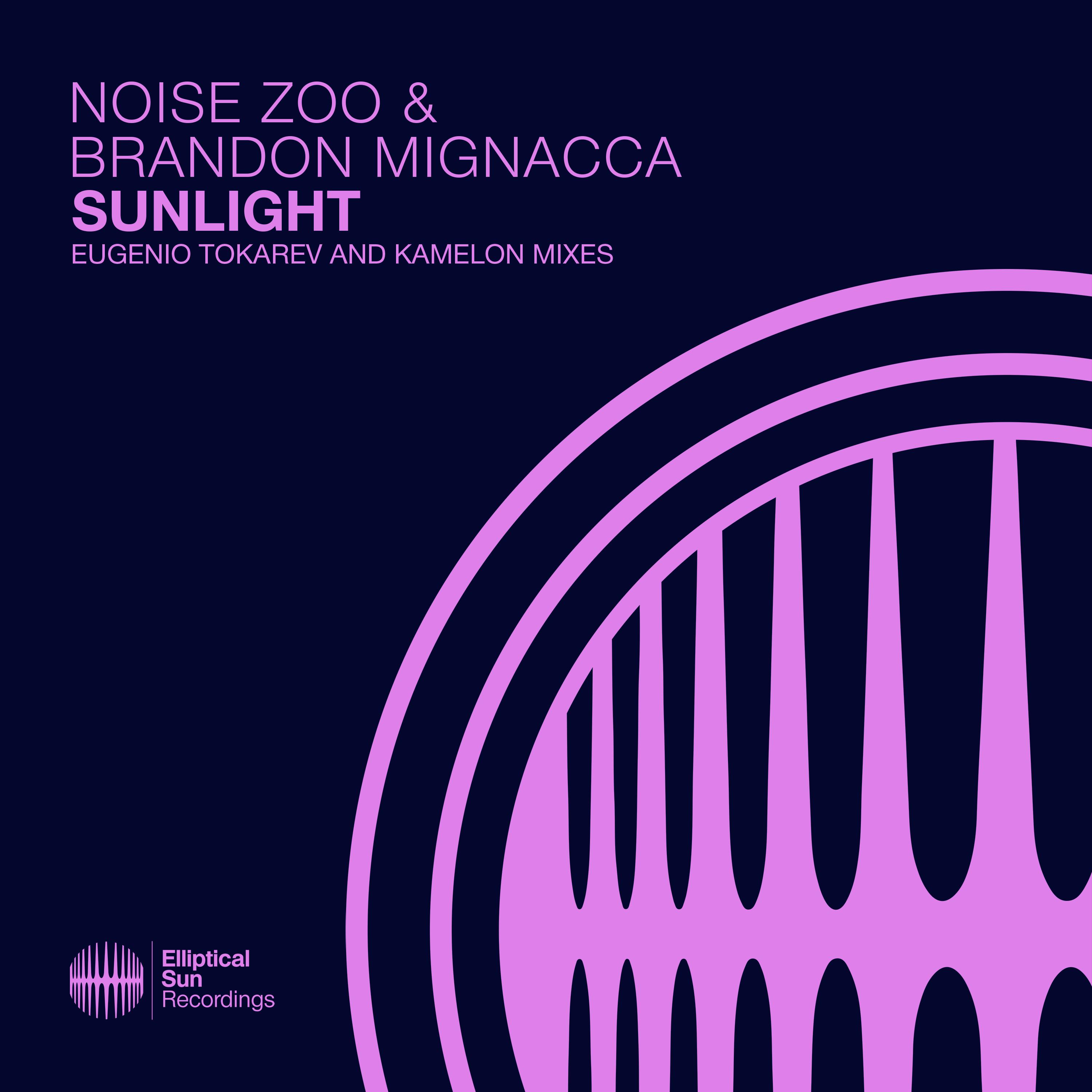 Noise Zoo - Sunlight (Eugenio Tokarev Extended Dub Mix)