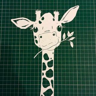 长颈鹿脖子不够长 -