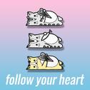 Follow Your Heart (tofû remix)专辑