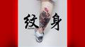 纹身tattoo专辑