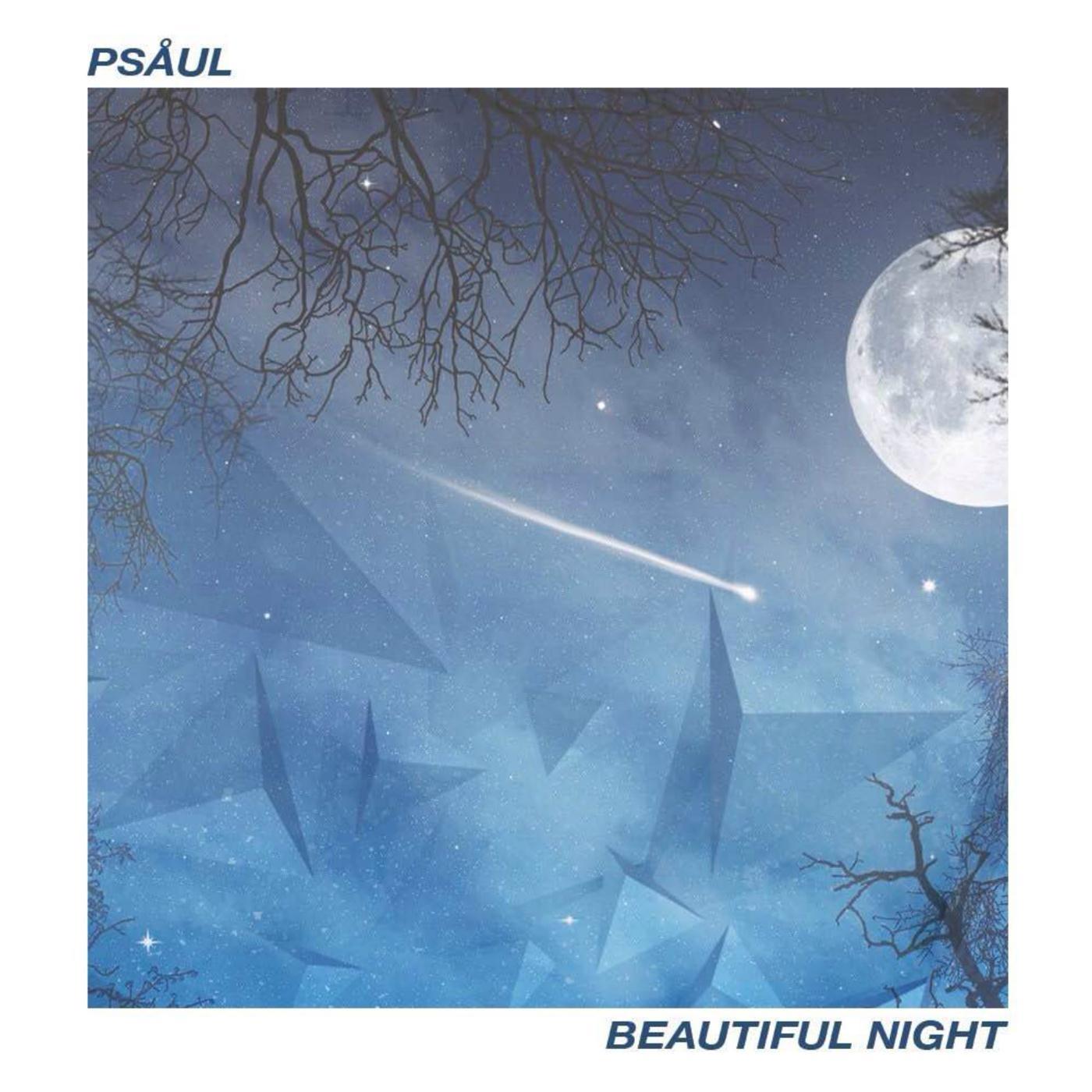 Beautiful Night