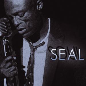 Amazing - Seal (HT karaoke) 带和声伴奏