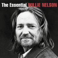 Willie Nelson - If You ve got The Money I ve Got The Time (karaoke)