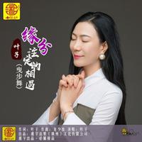 龙少也 叶子-缘分注定的相遇 伴奏 无人声 伴奏 AI