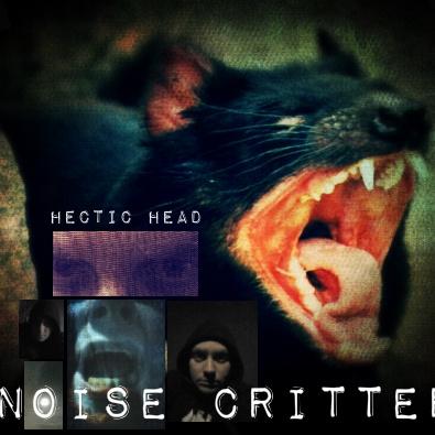  Noise Critter