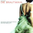 Busoni : Die Brautwahl专辑