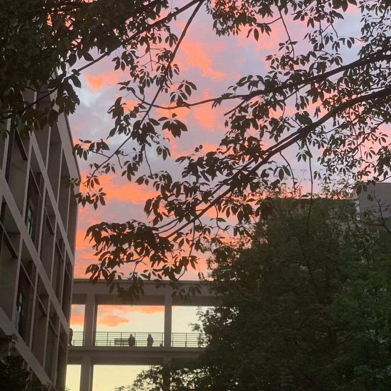 P.Y.T-现在你才不幸福 马思唯/Asen / 河南说唱之神/KenRobb（remix）