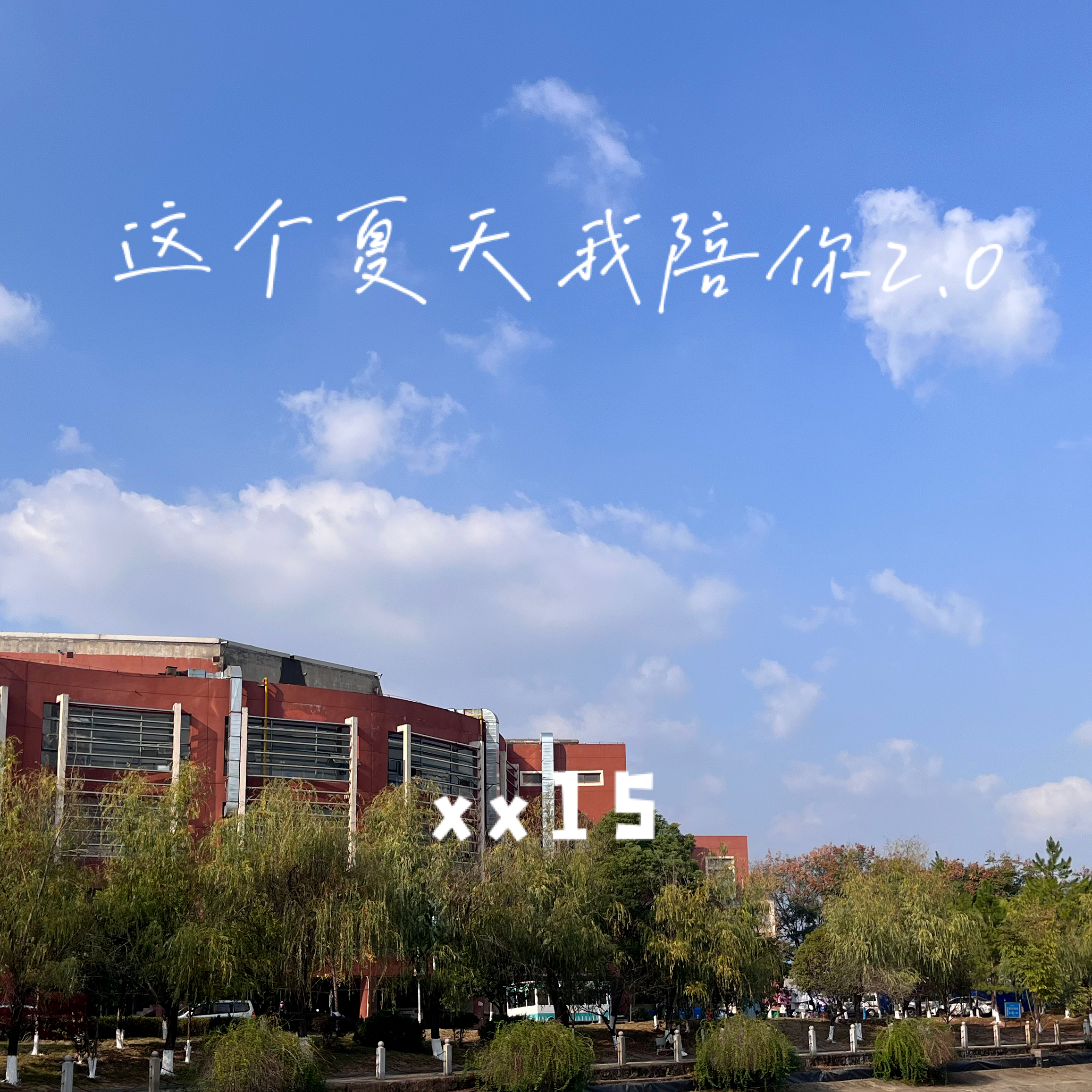 这个夏天我陪你2.0
