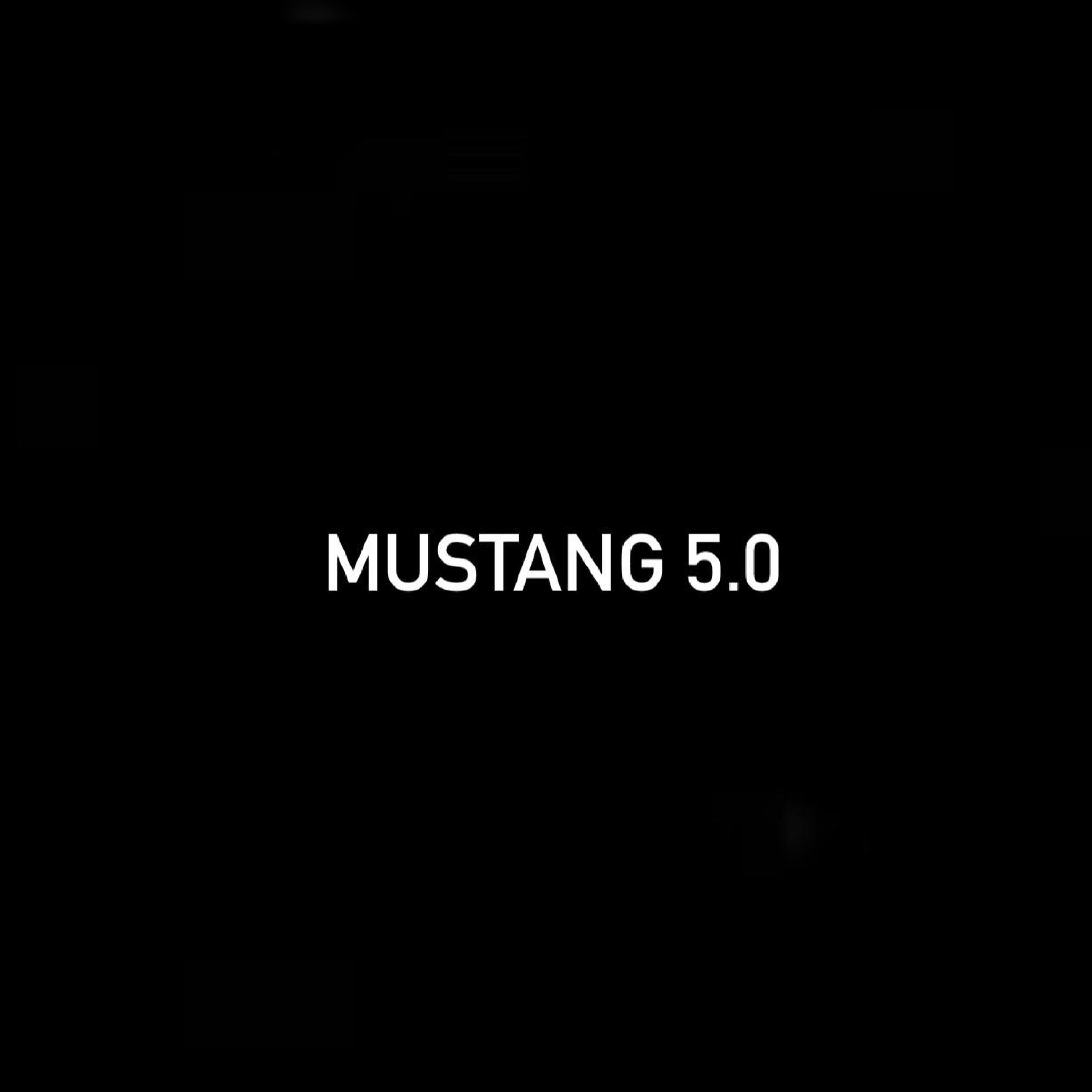 Mustang 5.0