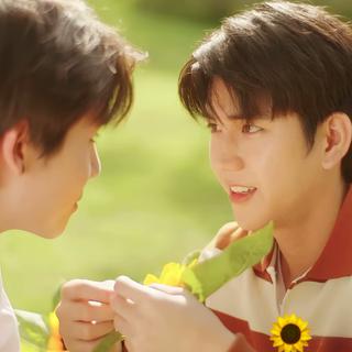 泰语｜玫 瑰 何 须 长 成 松 柏