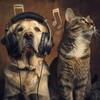 Mind Matters - Harmonious Pet Melodies