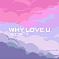 WHY LOVE