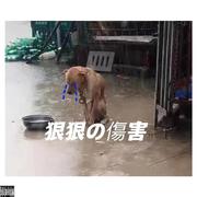 醒水