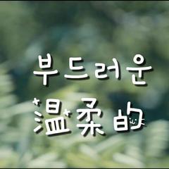 부드러운（温柔的）