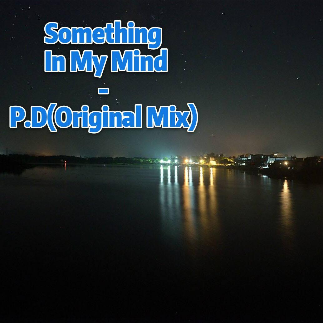 Something In My Mind - P.D(Original Mix)专辑