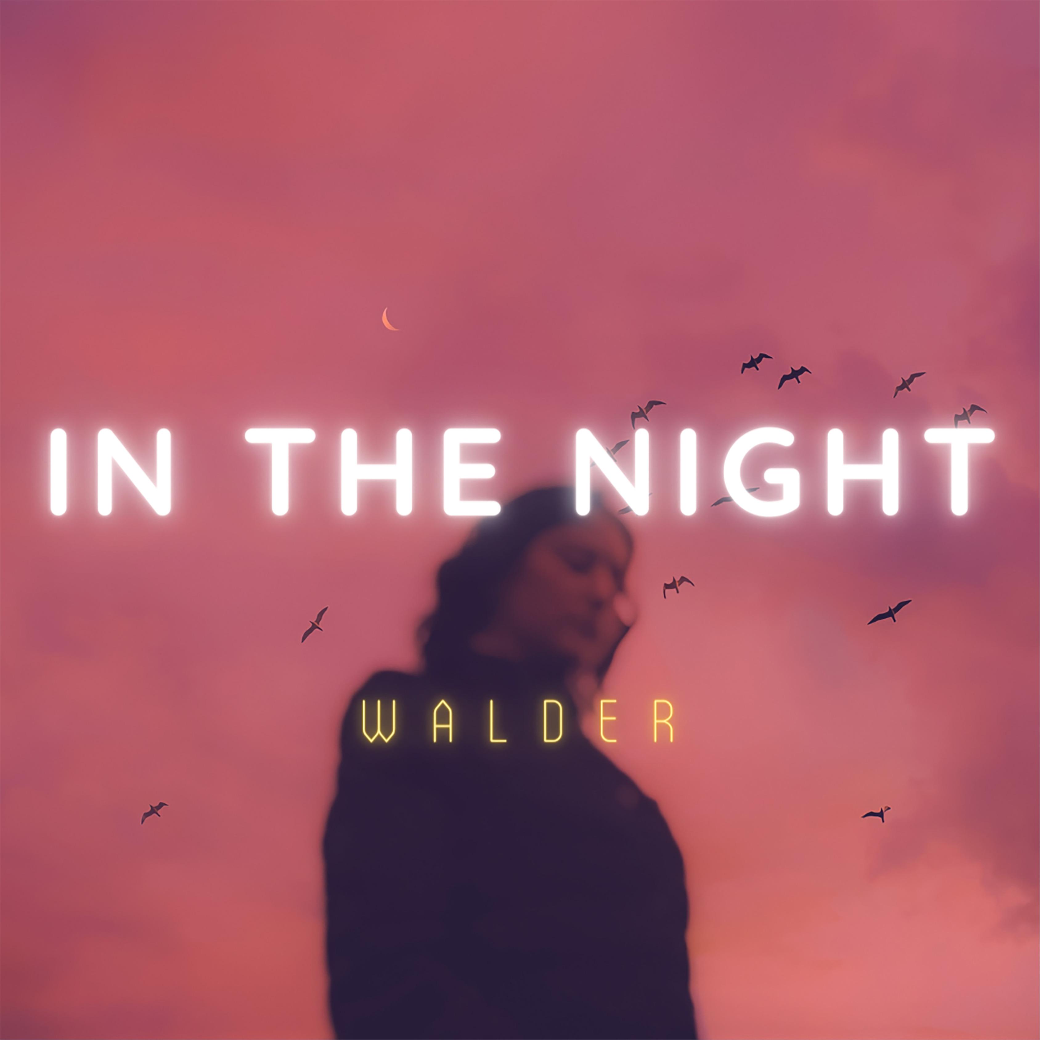 In The Night