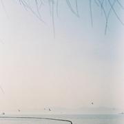 在水一方