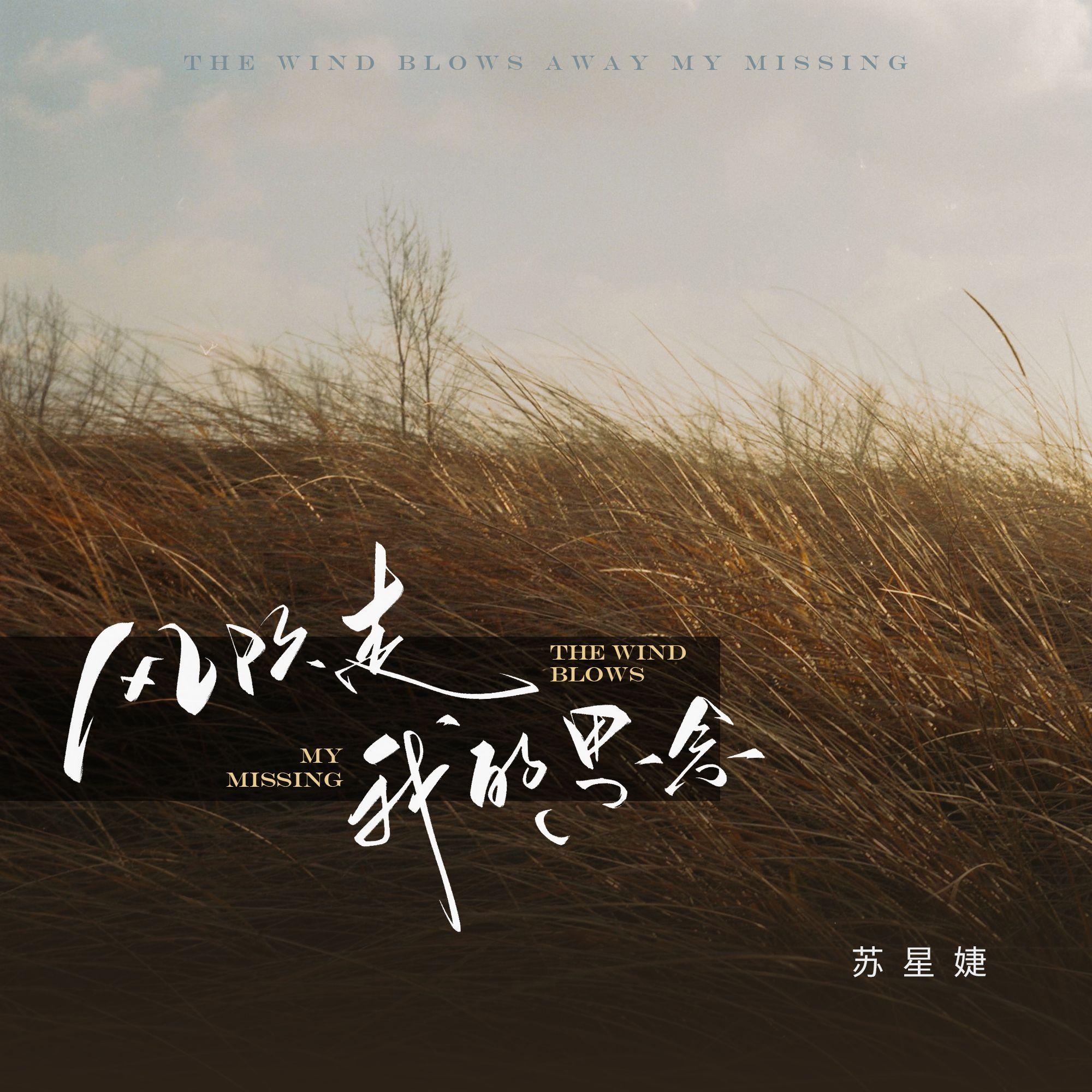 风吹走我的思念（DJAh版）