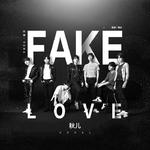 Fake Love专辑