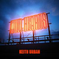 Keith Urban - Wild Hearts (VS Instrumental) 无和声伴奏