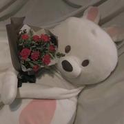 I will keep u safe