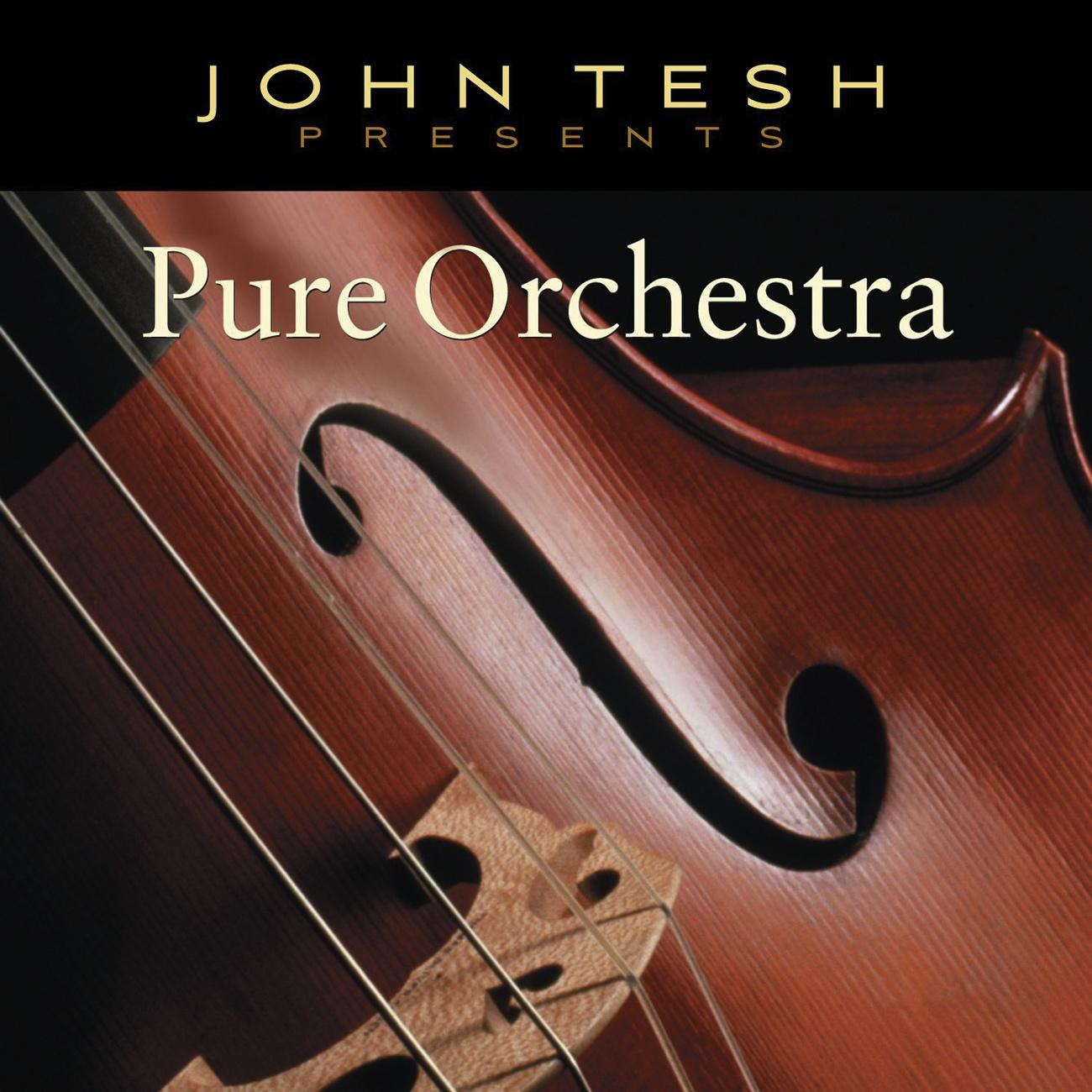 Pure Orchestra