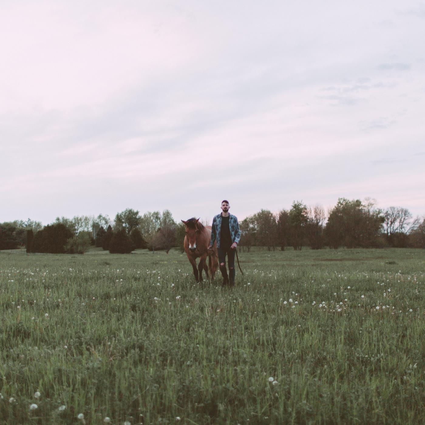 Mustangs & Thoroughbreds, Vol. 1