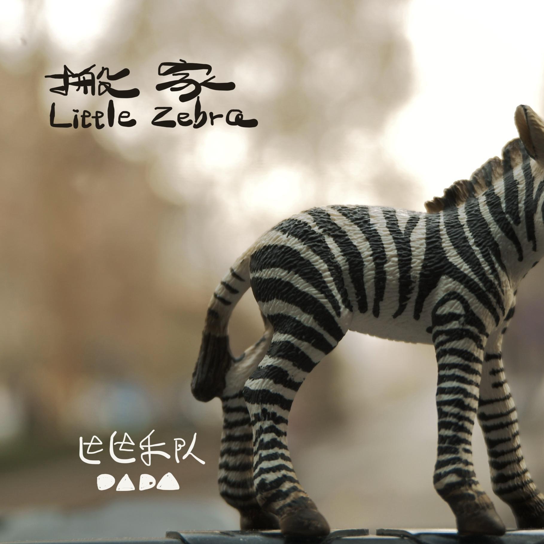 搬家 Little Zebra