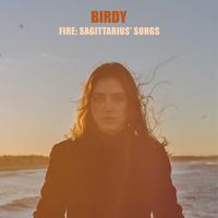 Birdy - Strange birds (unofficial Instrumental)