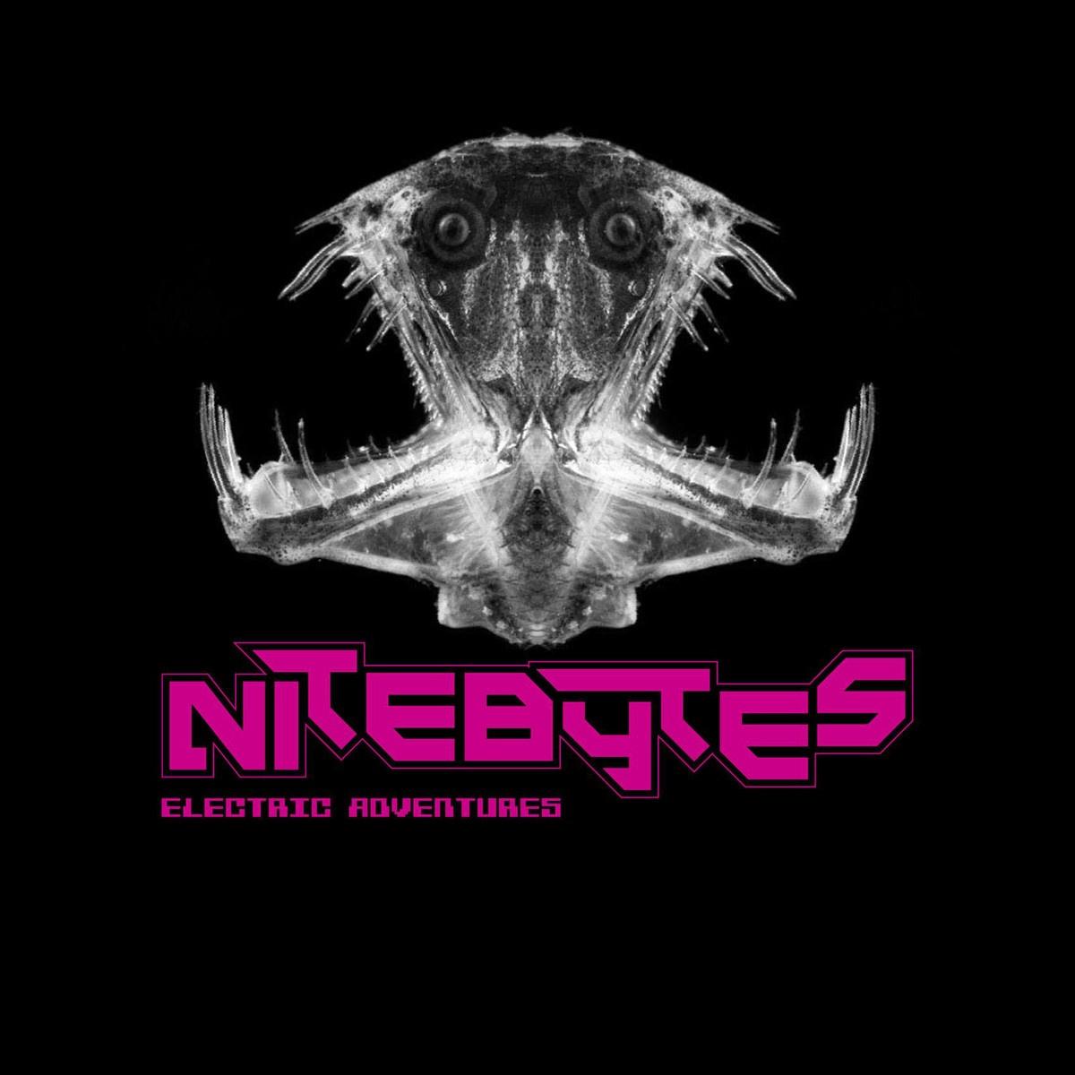 Electric Adventures