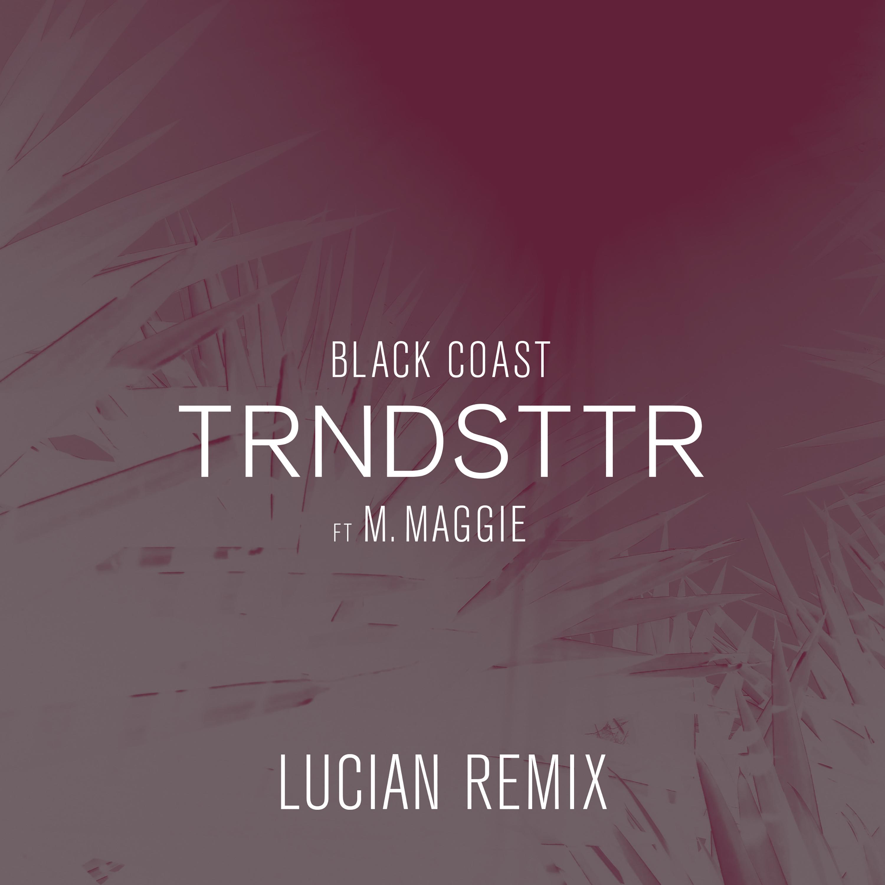 Trndsttr (Lucian Remix)