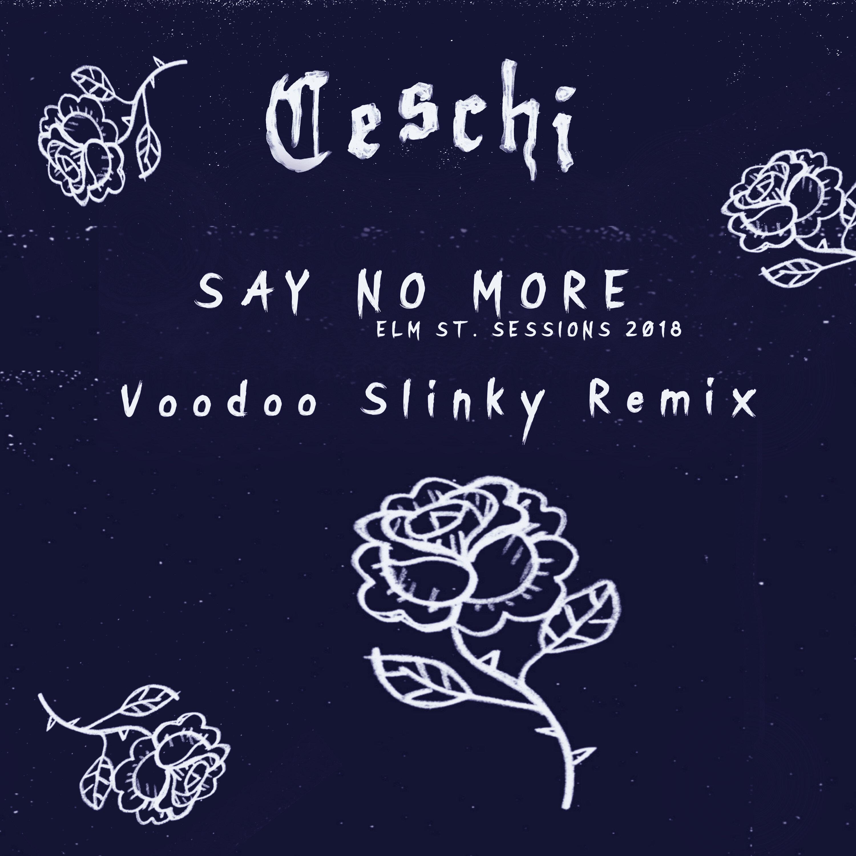 Ceschi - Say No More (elm st. sessions 2018)