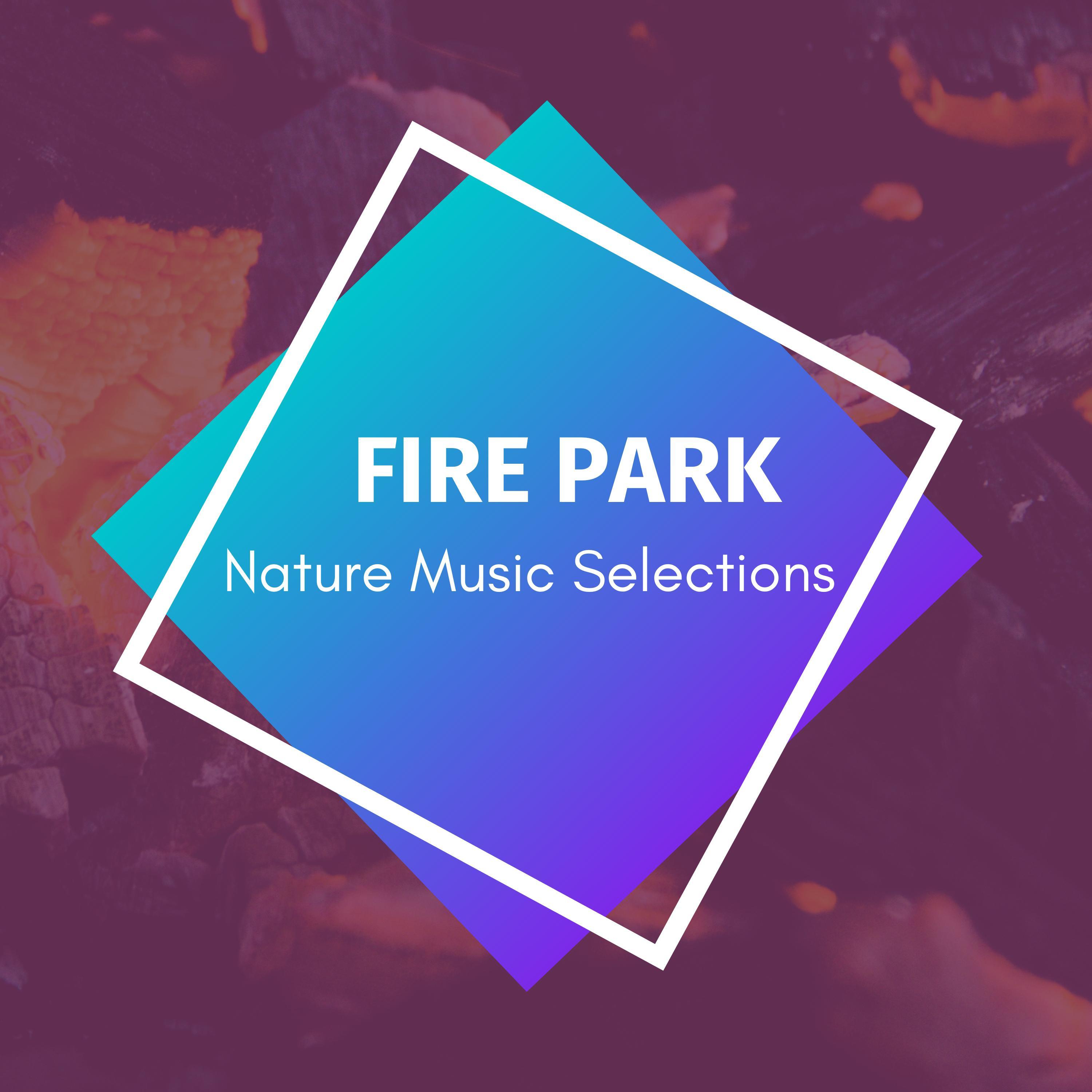 Fairy Light Nature Sounds - Calm Fire Audio