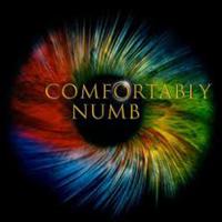 《Comfortably numb》—Pink floyd 高音质midi伴奏（欧美精品伴奏工作室 精品制作）