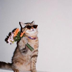 Story Of My Life (v2) （钢琴）