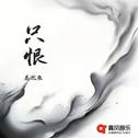 只恨专辑