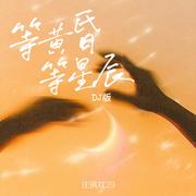 等黄昏等星辰 (DJ版)