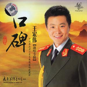 王宏伟 - 老战友 带伴唱 伴奏
