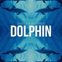 Dolphin专辑